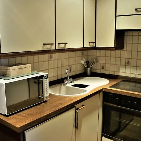 Inviting In Near The Area Apartment Winterberg