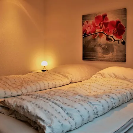 Apartment Inviting In Near The Area Winterberg