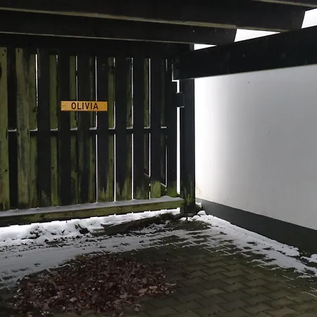 Inviting In Near The Area *